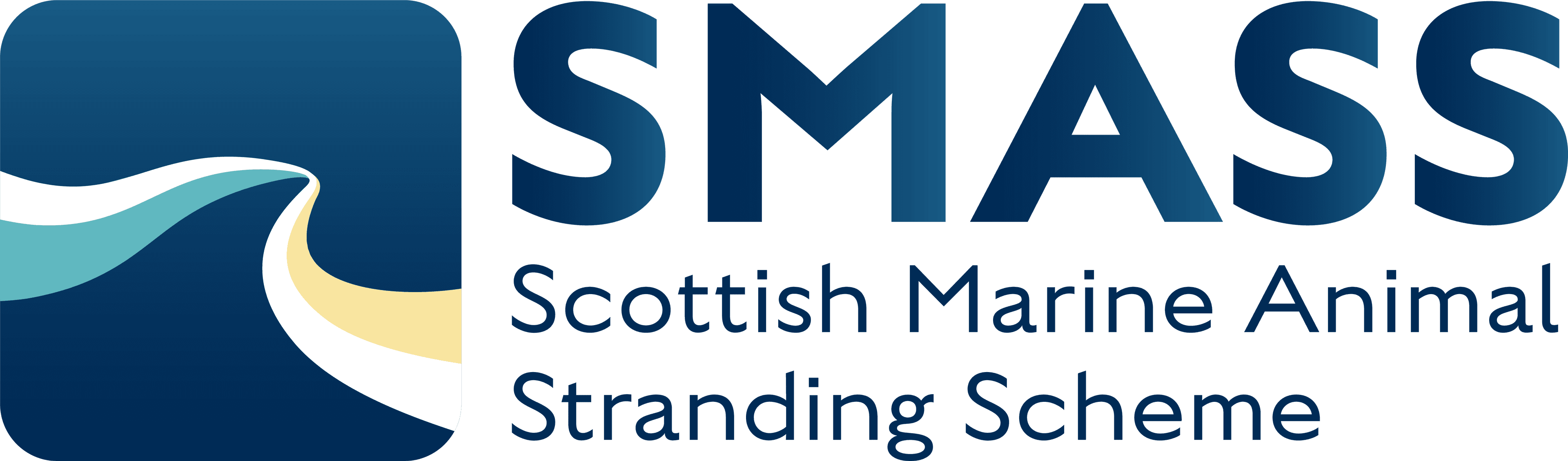 SMASS logo